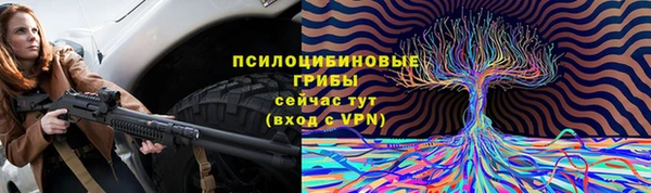 крисы Алексеевка