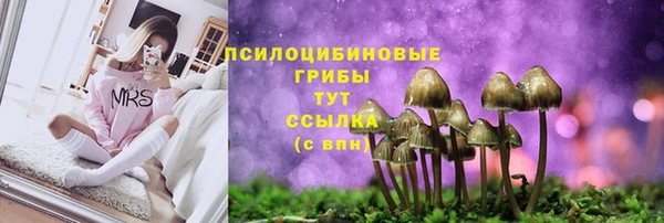 герыч Абаза